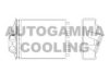 AUTOGAMMA 104804 Heat Exchanger, interior heating